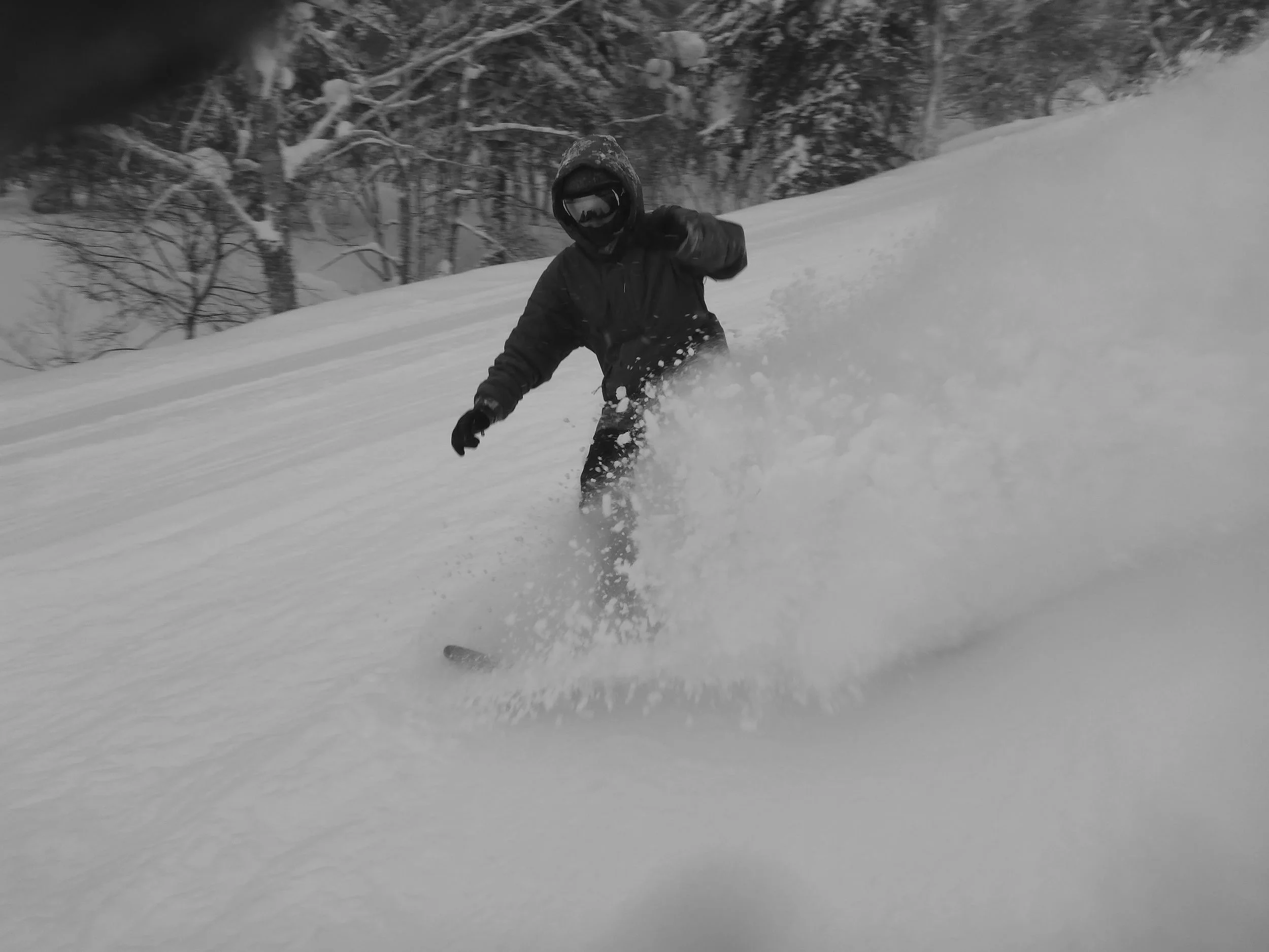 Furano powder snow