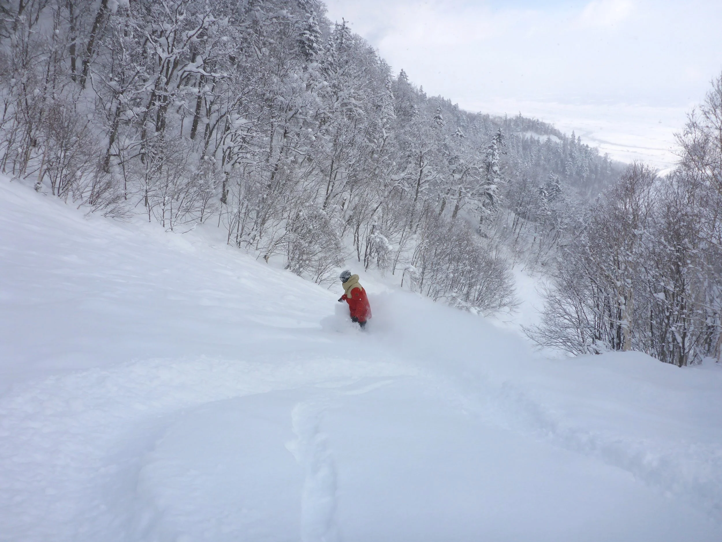 Furano snow tour