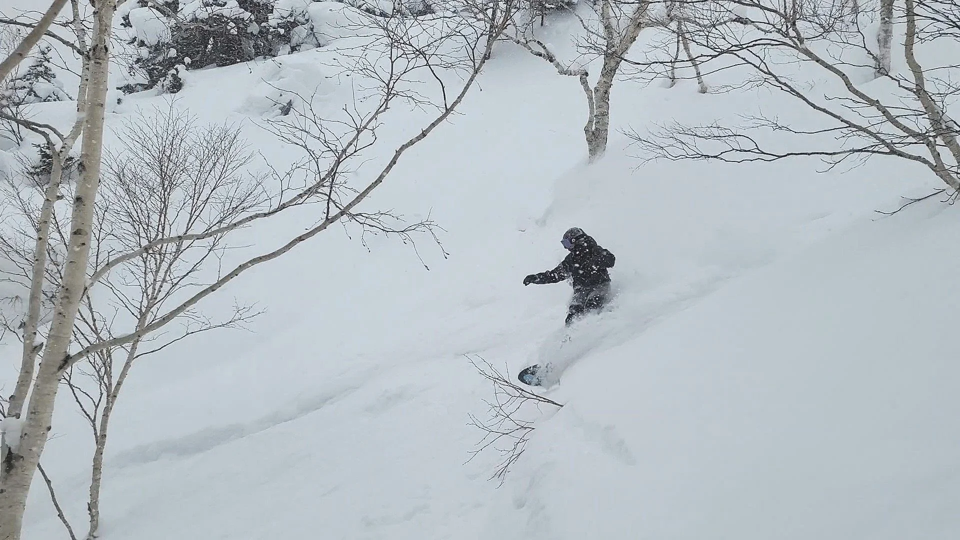 powder riding hokkaido japan