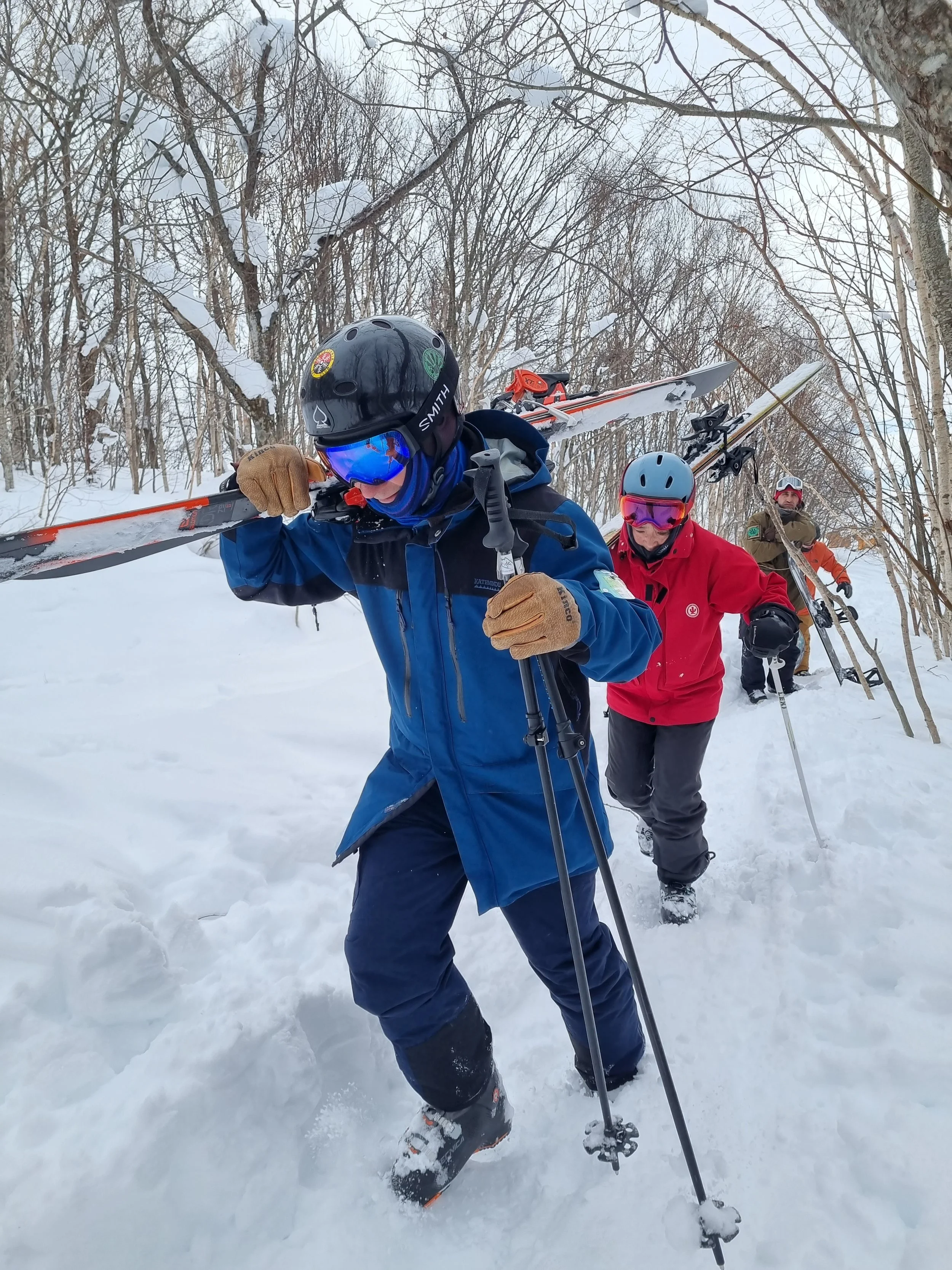 Three people hiking through snow with skis on their shoulders in a snowy forest.
