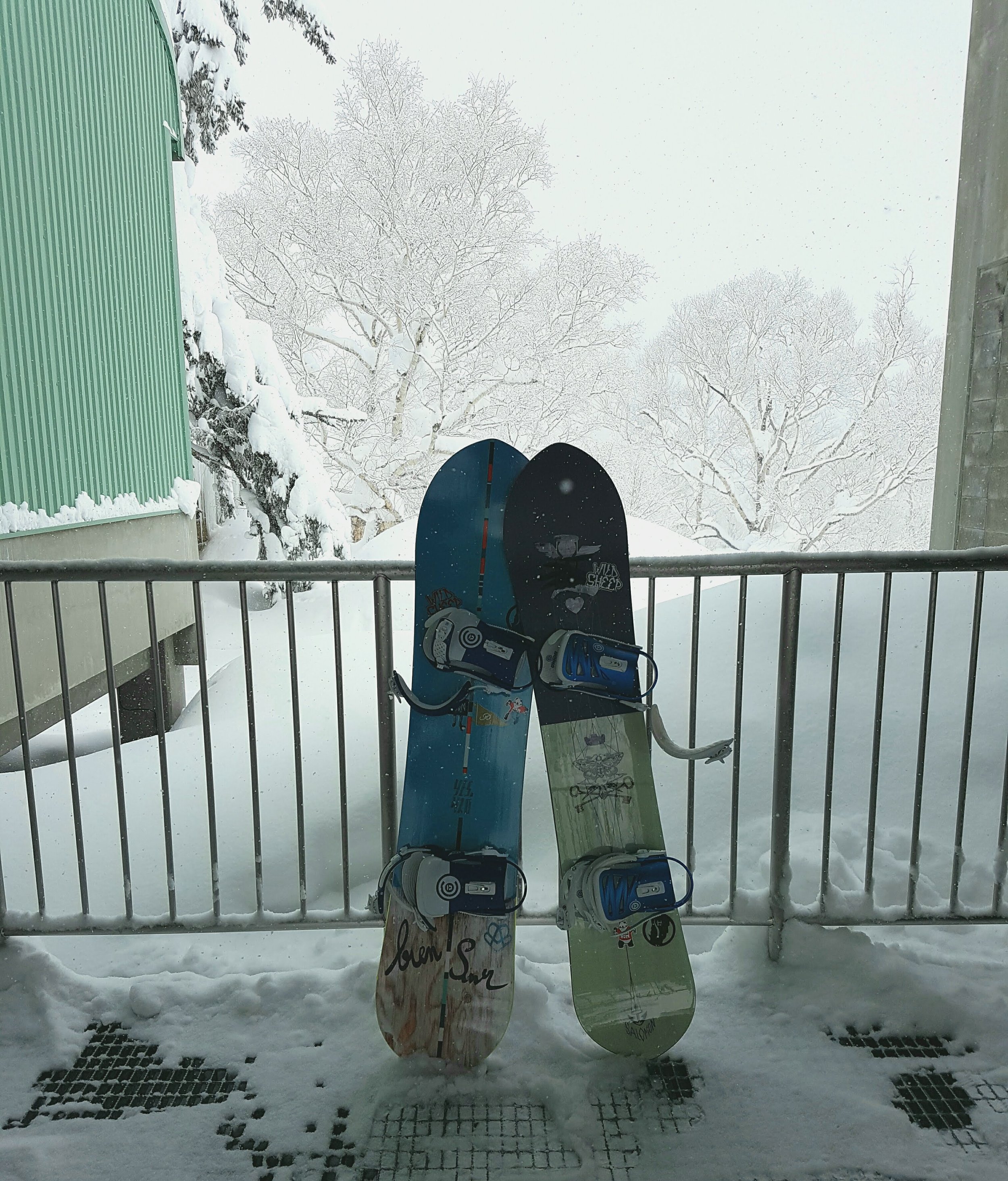 Two snowboards leaning against a rail with snow-covered landscape in the background.
