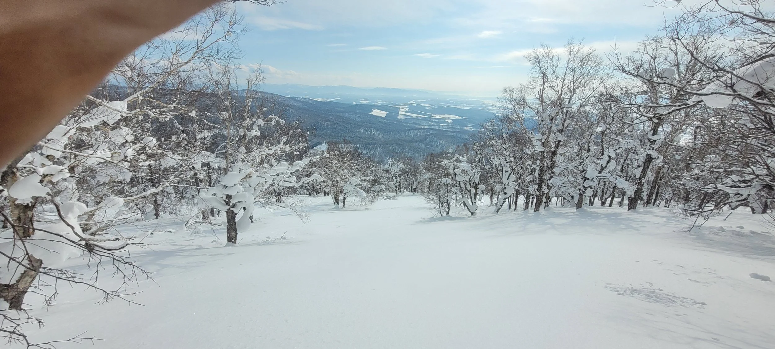 Snowy landscape with trees and view of distant hills in Hokkaido Japan