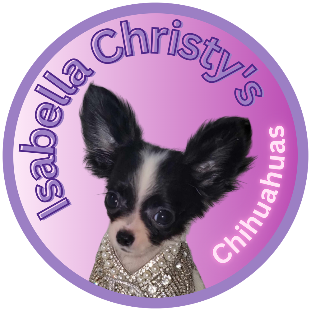 Logo featuring a Chihuahua wearing a jeweled coat with the text 'Isabella Christy's Chihuahuas' on a pink and purple circular background.
