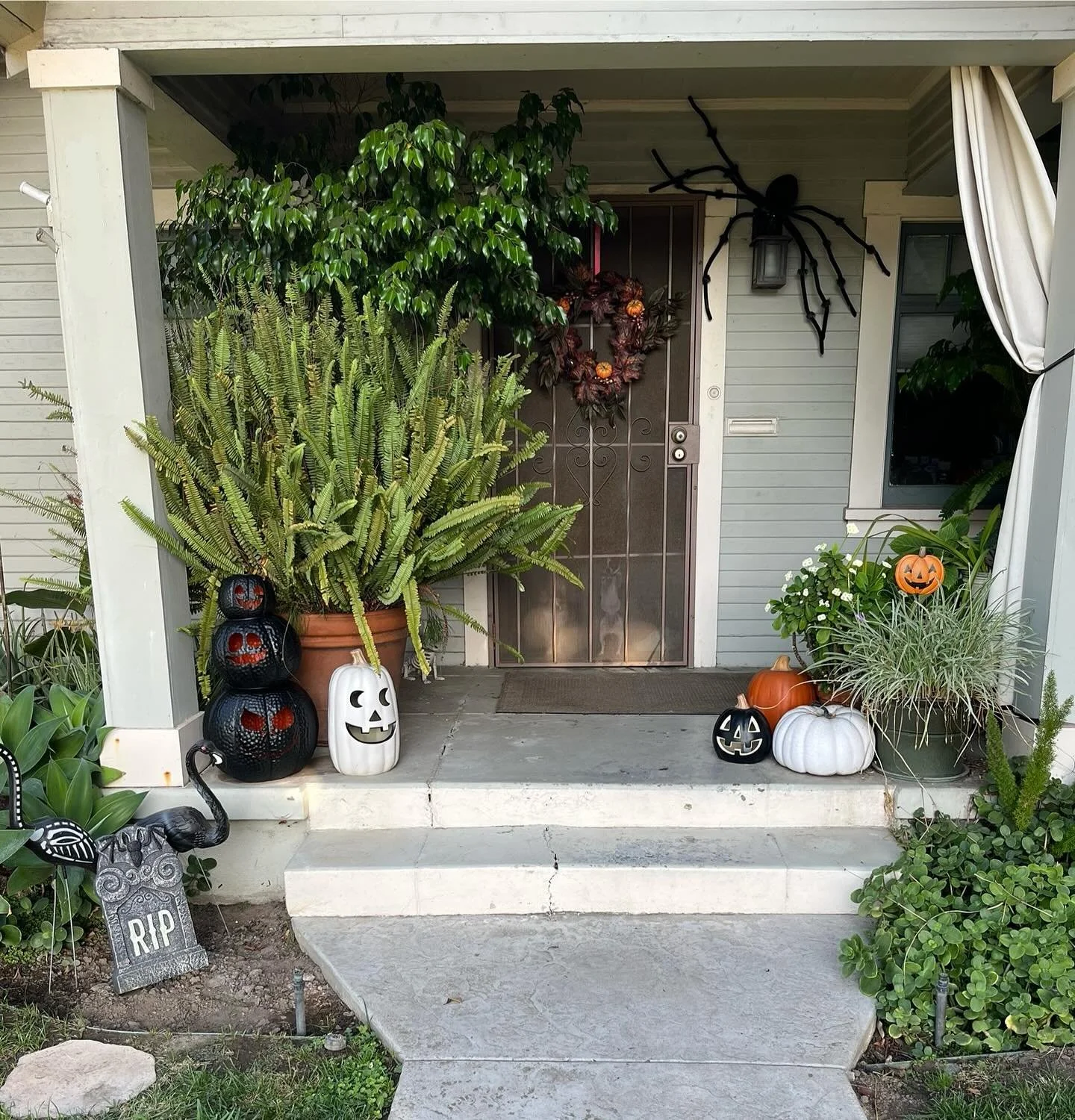 🎃 Dragged out the decorations early this year. This is about as festive as it gets 💀