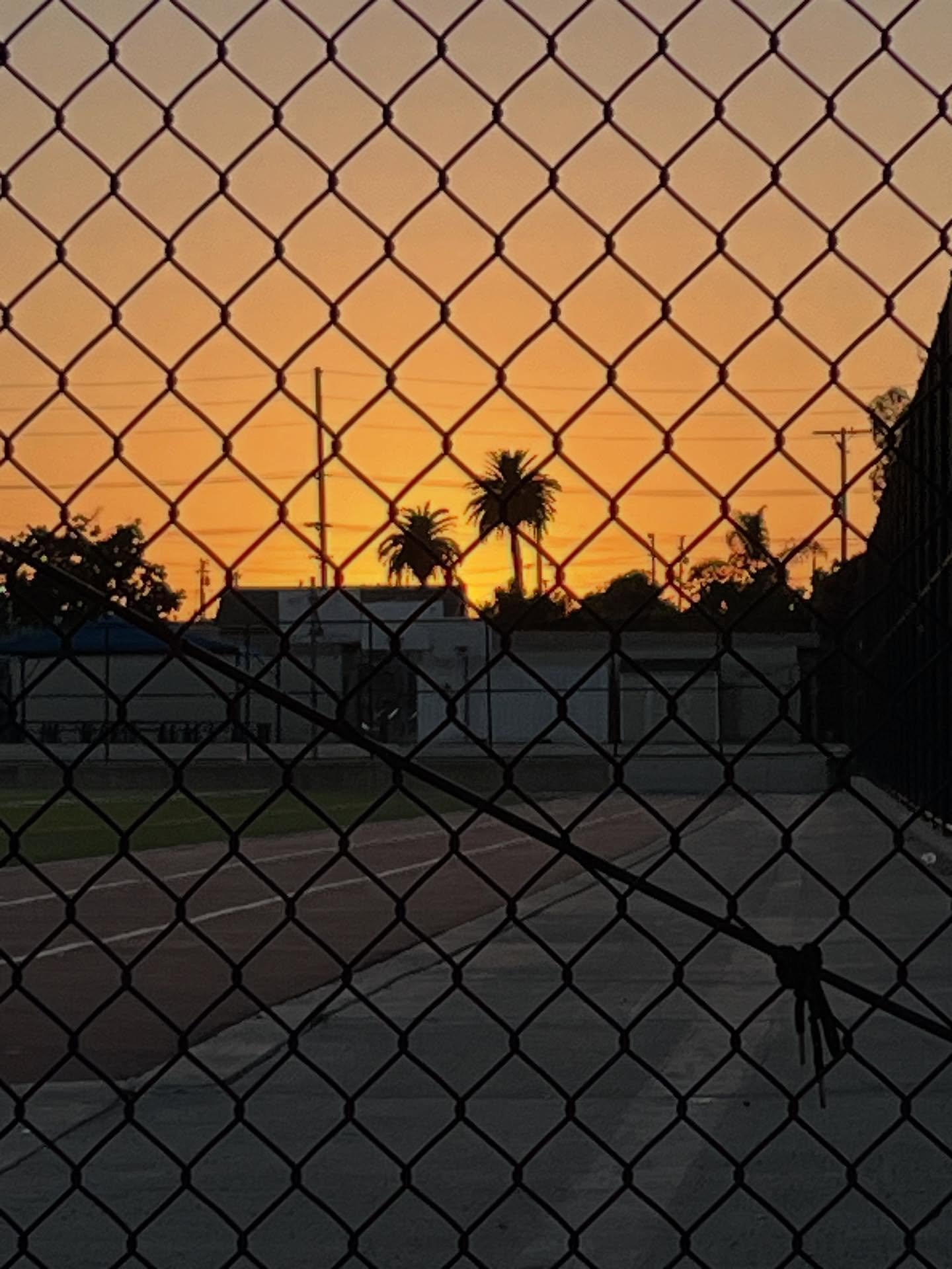 ✨Evening walkabout