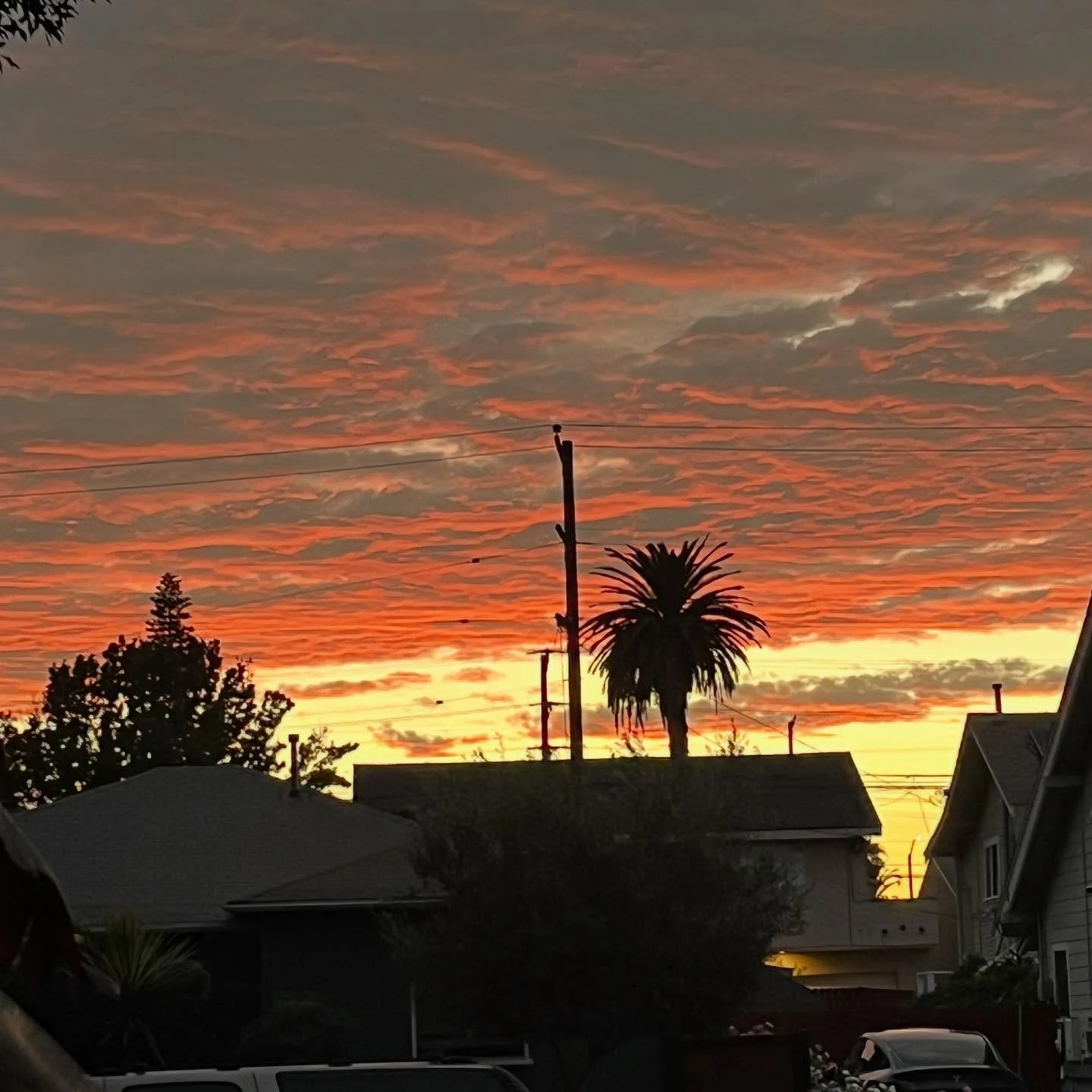 ✨ I just caught a moment but it was a pretty one.