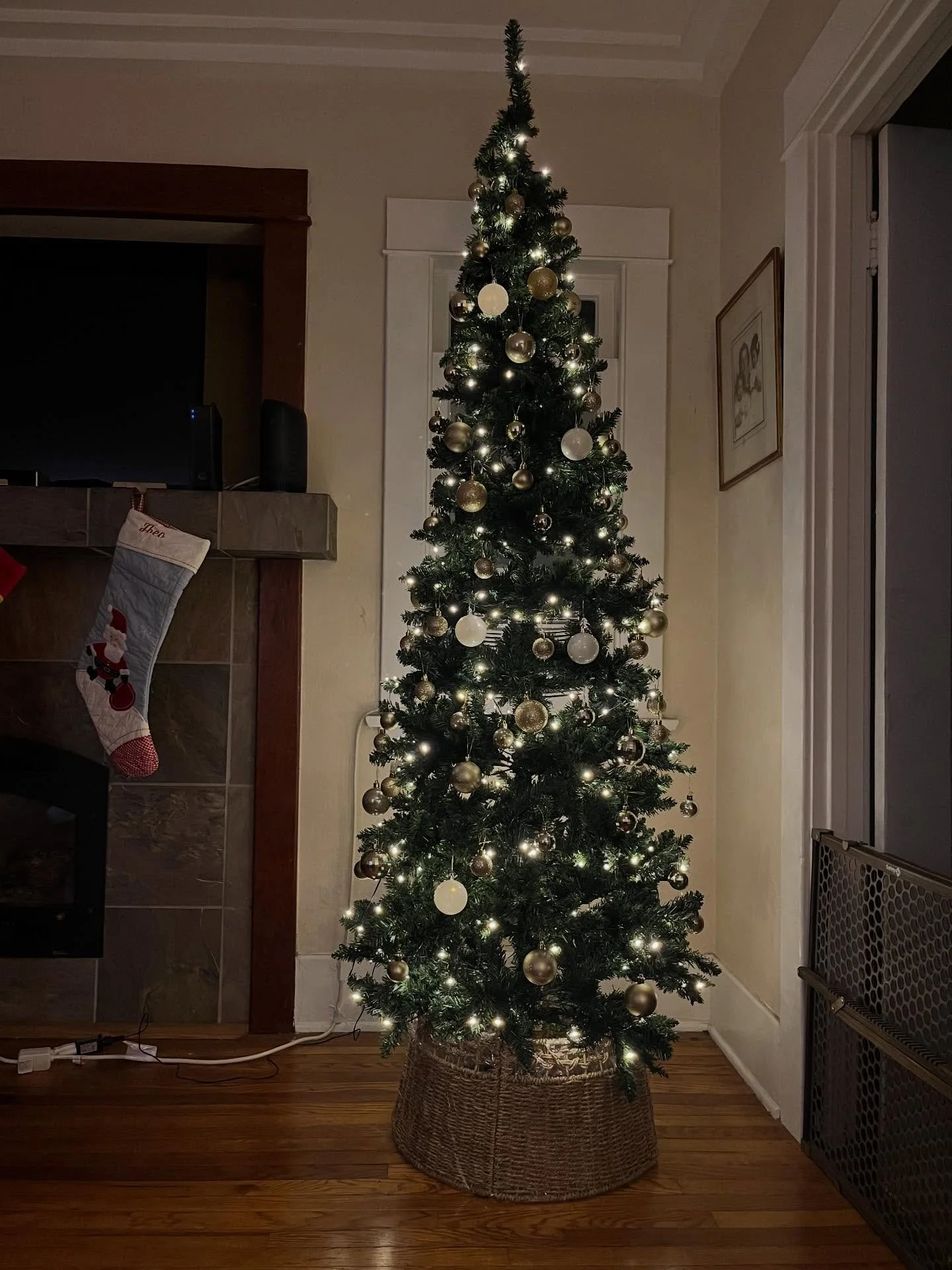 ✨ Loving my tall and skinny tree