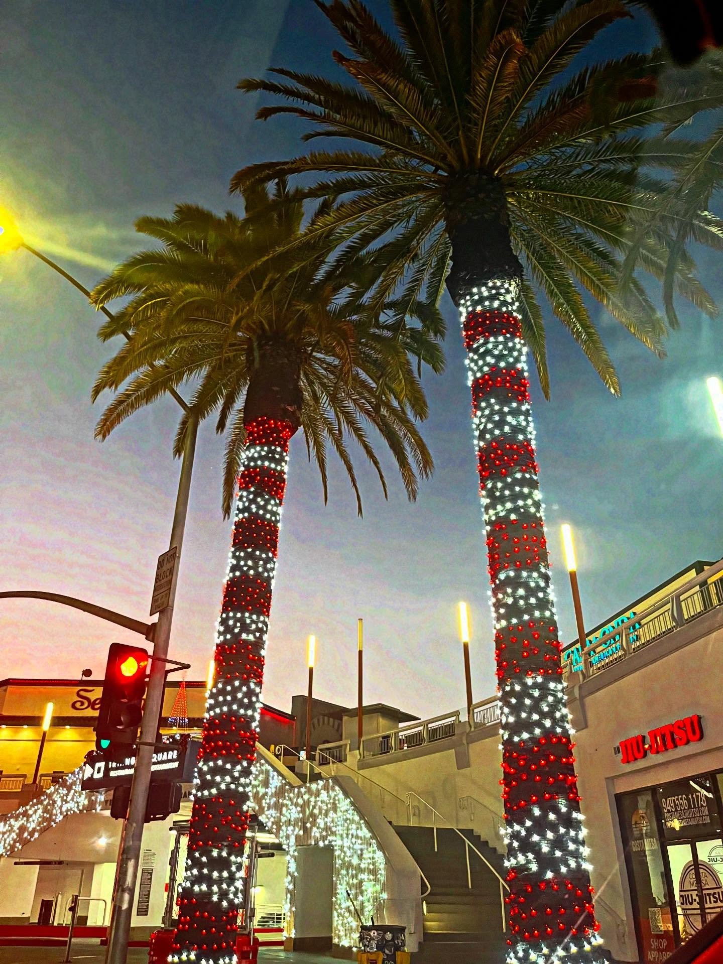 Dressed up for the holiday 🤍❤️