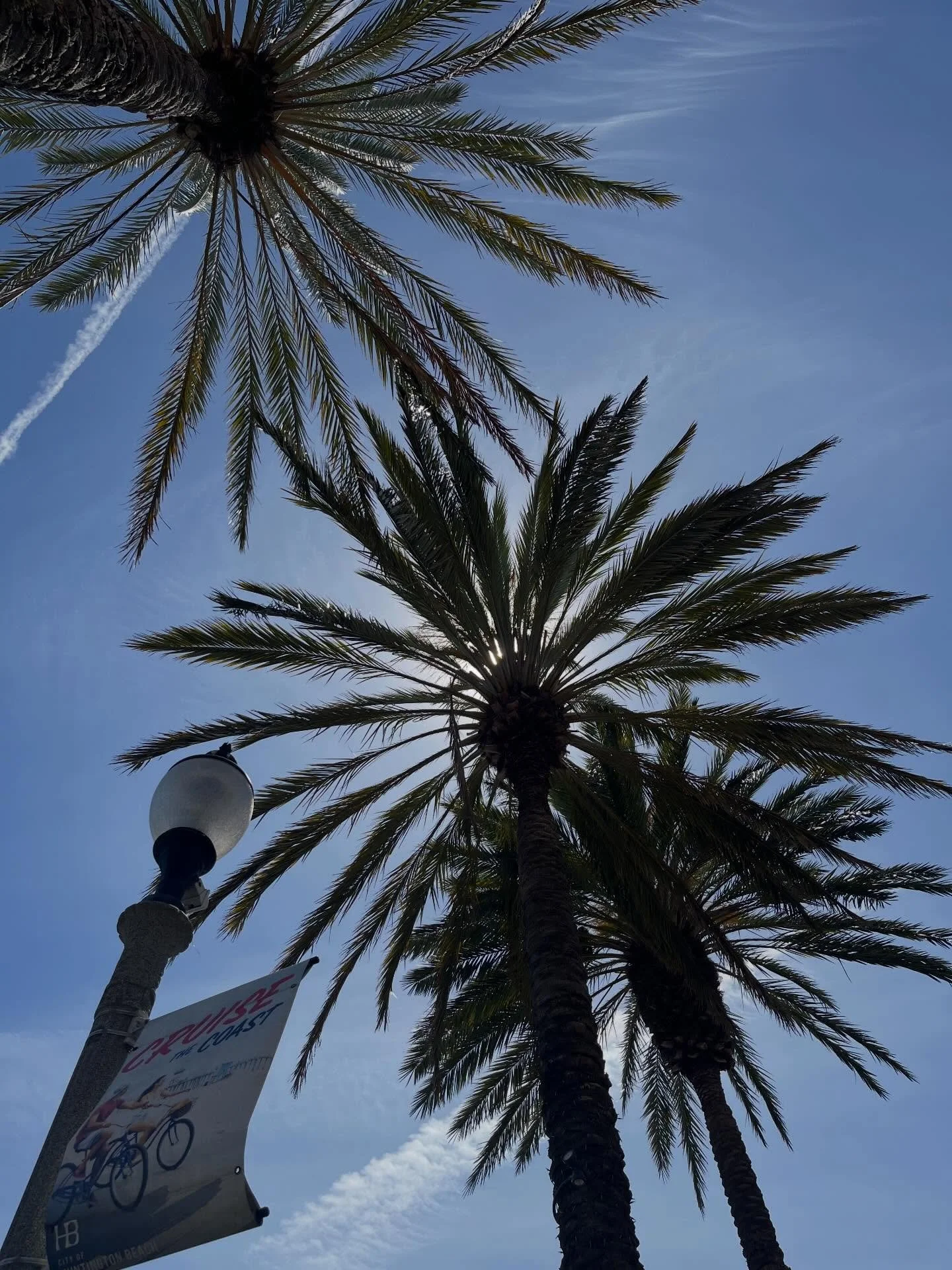 🌴☀️ Palm trees and sunshine.

Wishing a joyful Easter and Passover to those who celebrate, and a beautiful Sunday to everyone else.