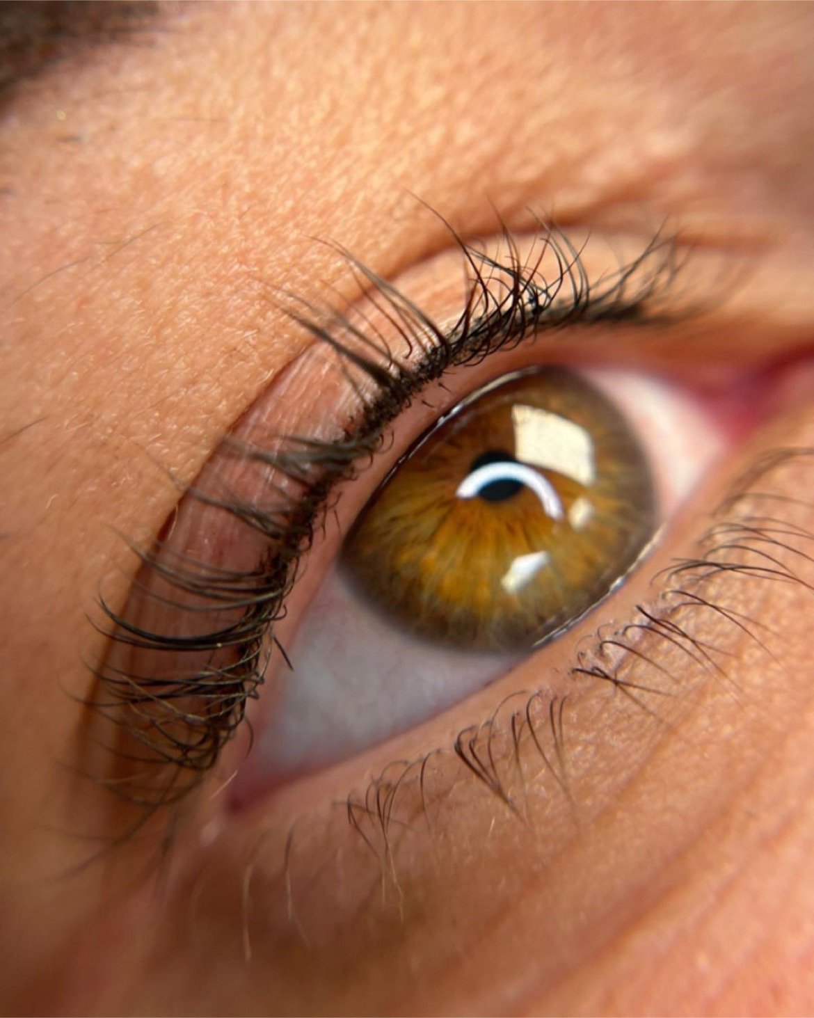 What is a Lash Liner Enhancement? 