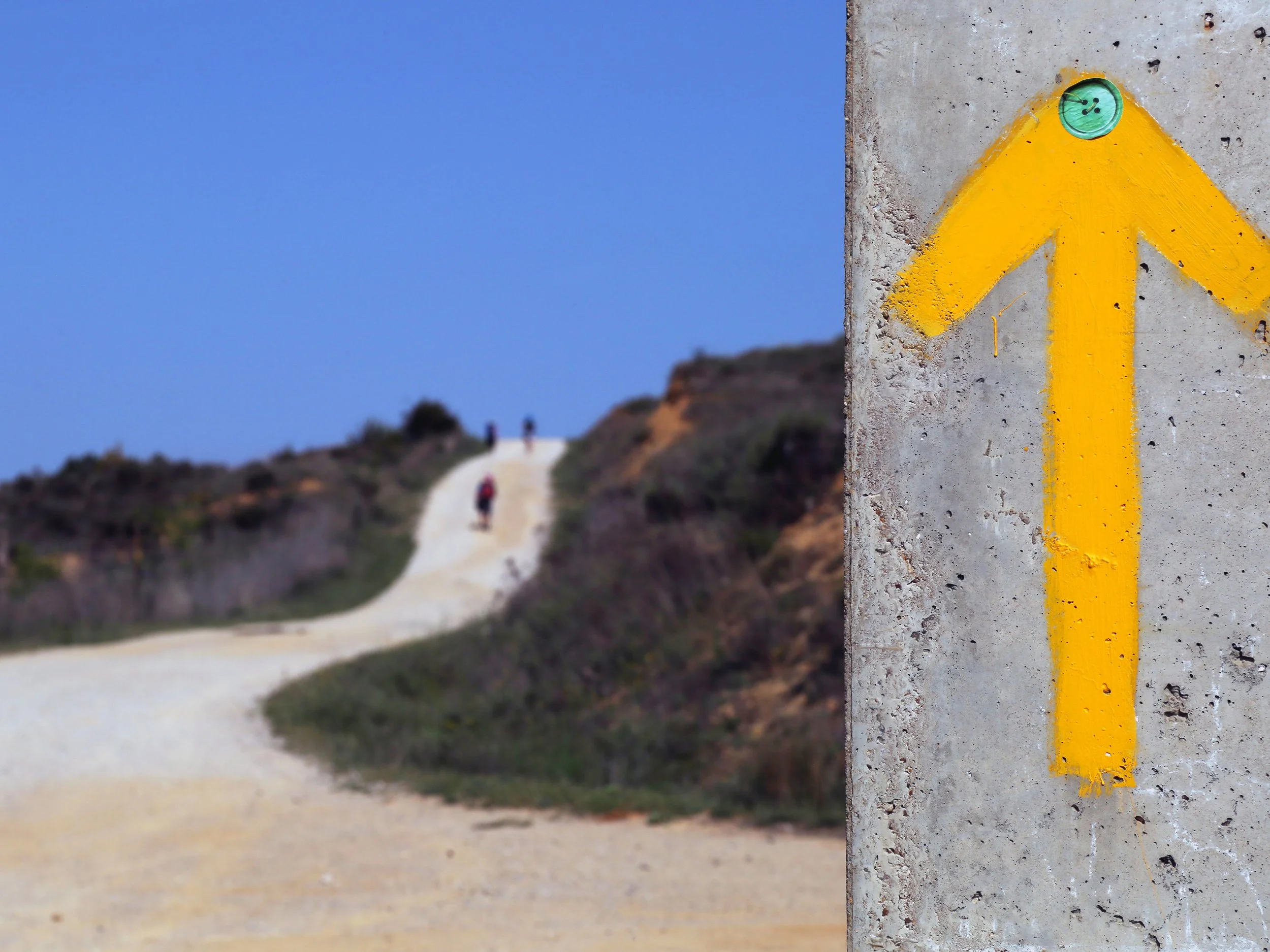 [회전]GL5A3995 copy copy copy3040.jpg