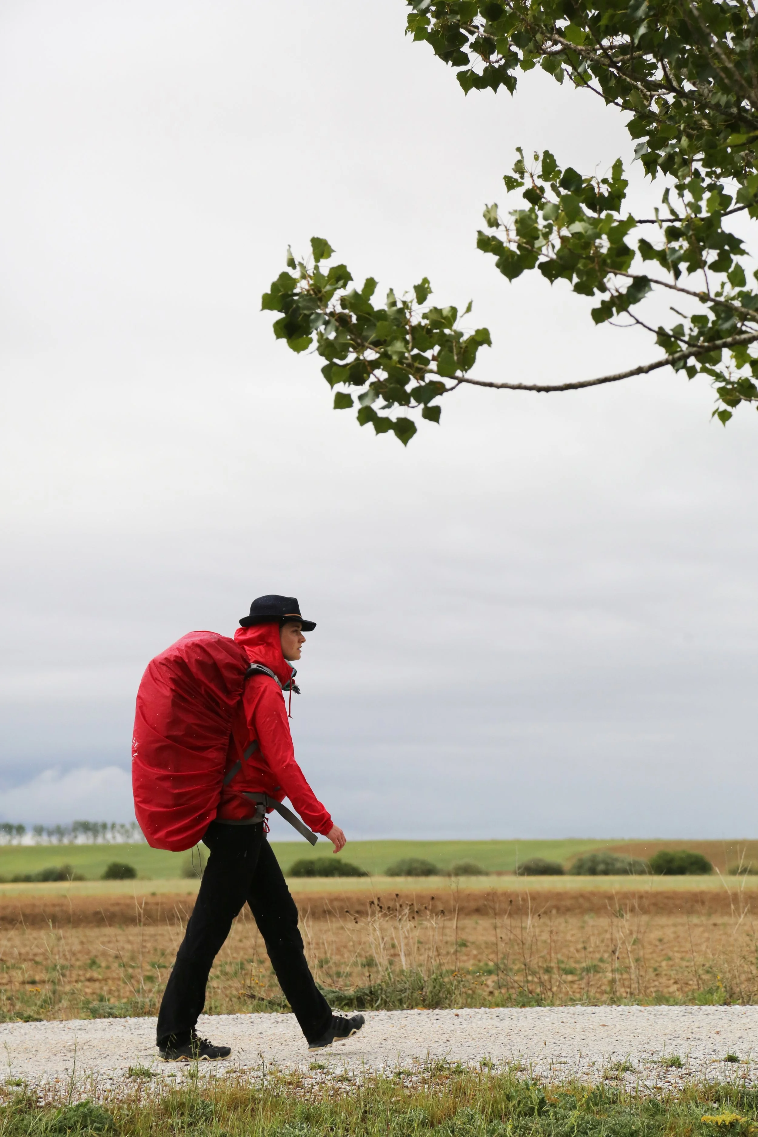 [회전]GL5A3196 copy.jpg