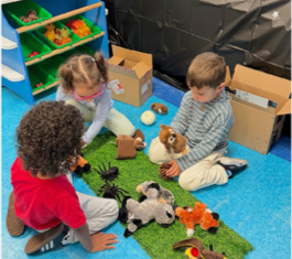 Nocturnal animals unit