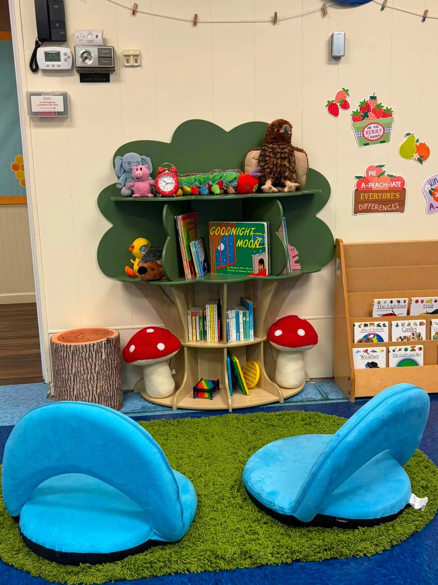 A classroom library