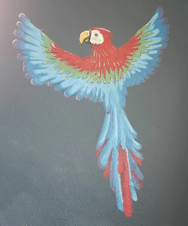 macaw2018.jpg
