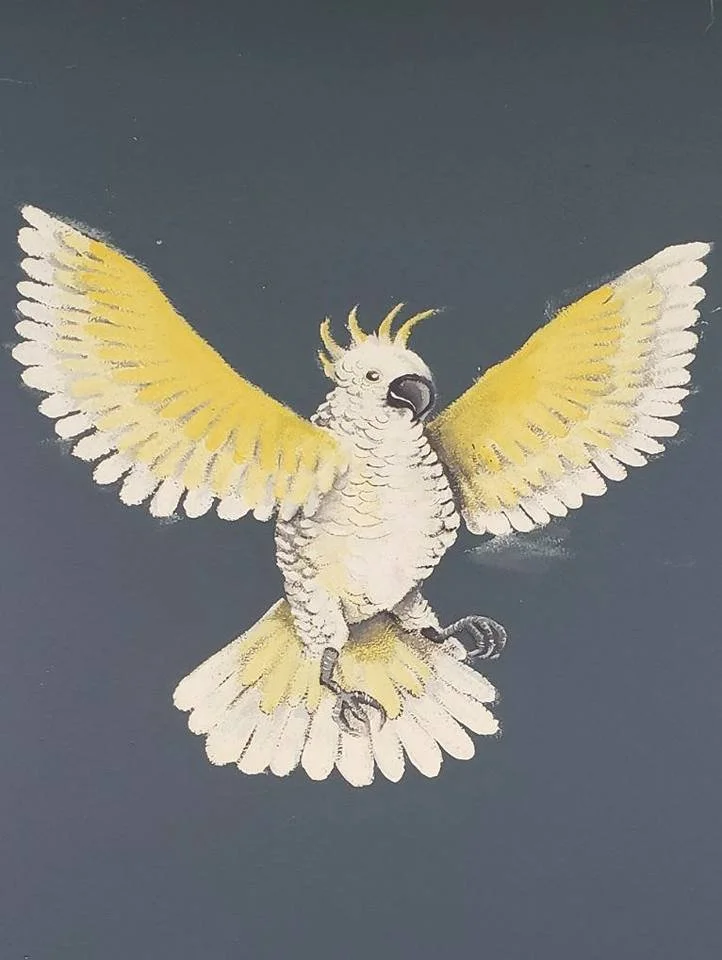 cockatoo2018.jpg