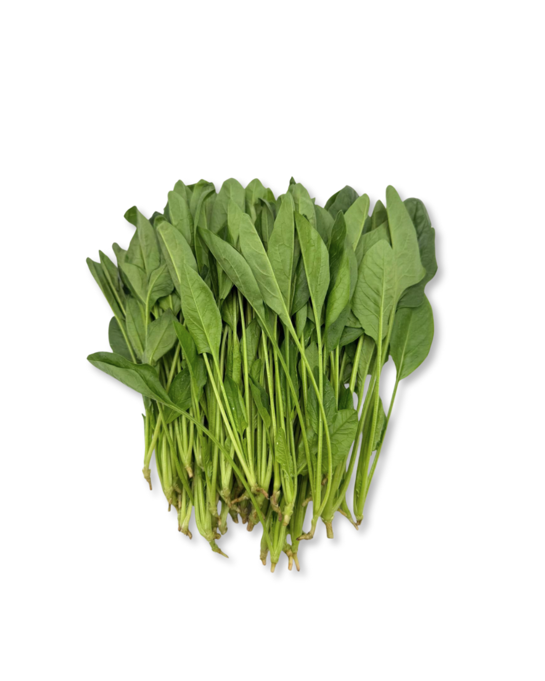 Chinese Spinach