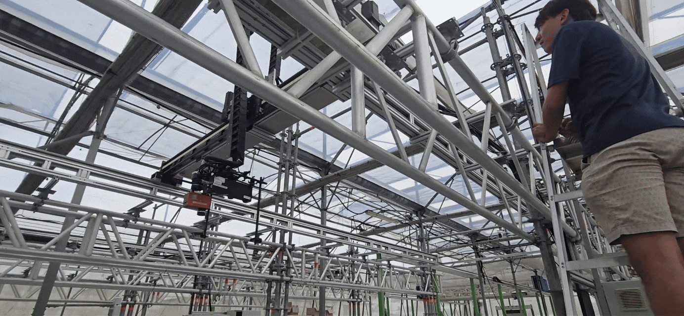 How Phenotyping, AI, and Robotics Are Shaping the Future of Our Farm