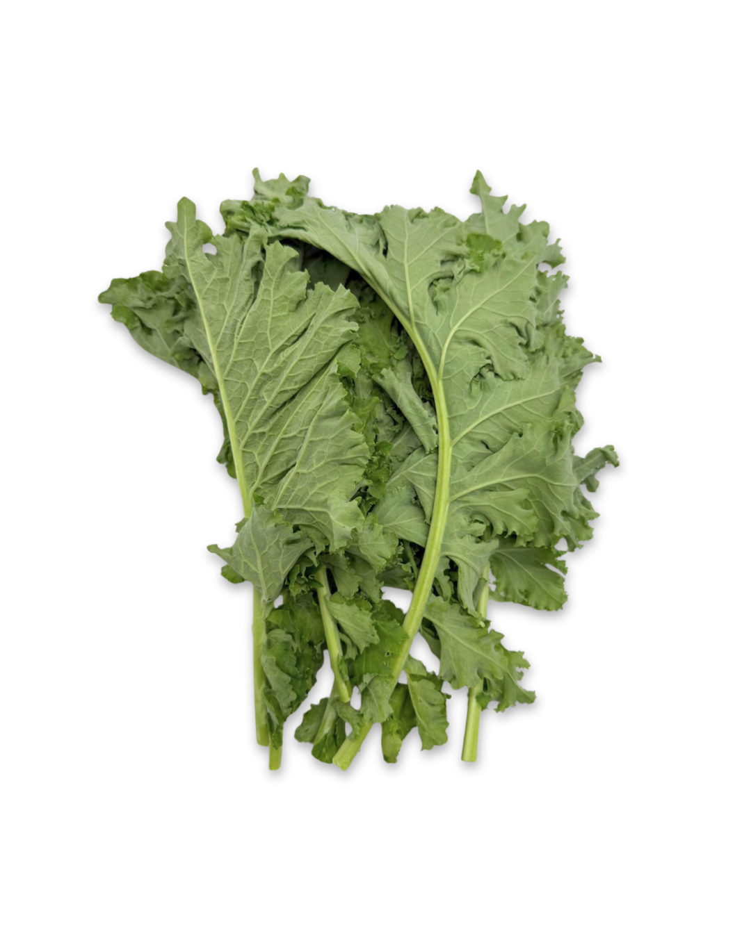 Kale 2.png