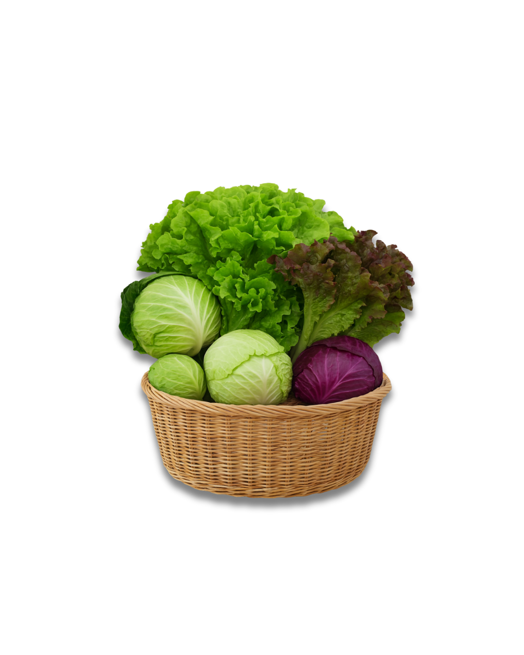 A wicker basket filled with fresh green and red lettuces and whole cabbages, arranged neatly