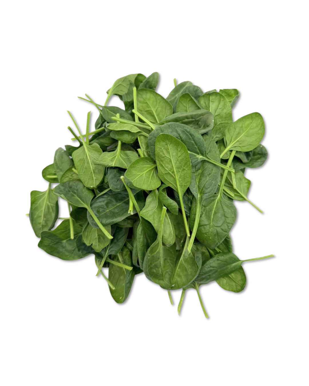 Baby Western Spinach 1.png