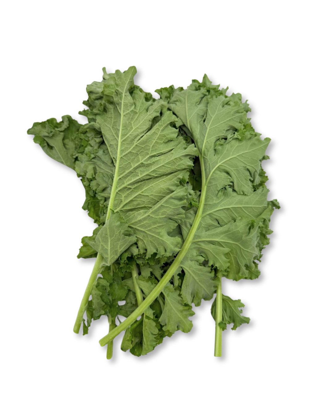 Kale 1.png