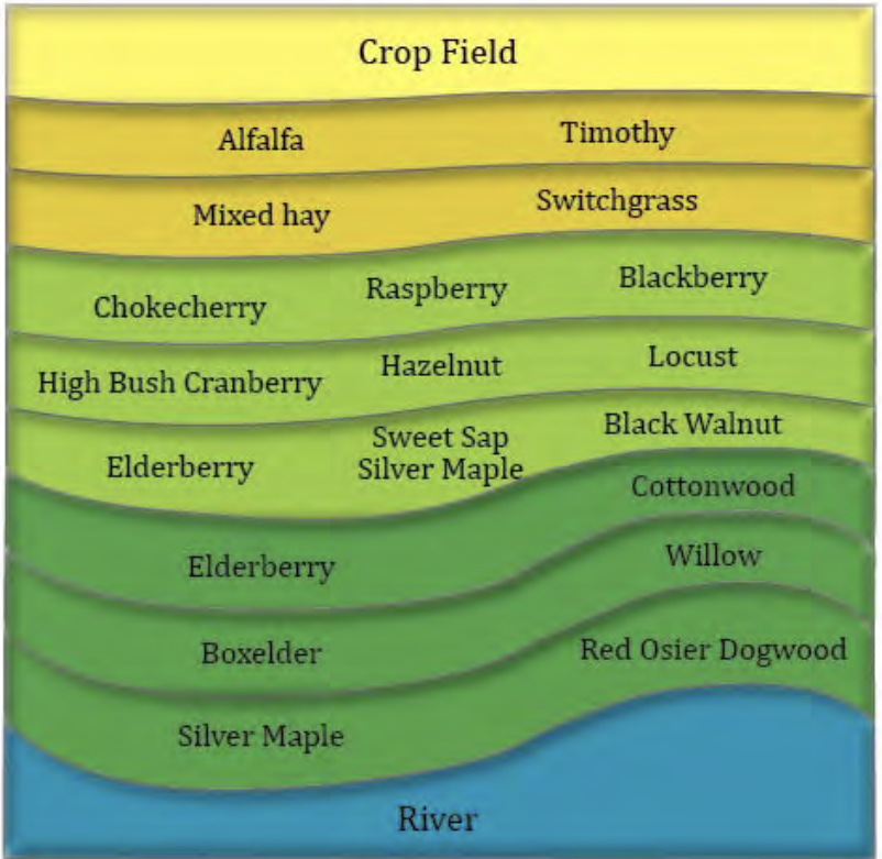Mixed-Use Productive Buffer Bundle