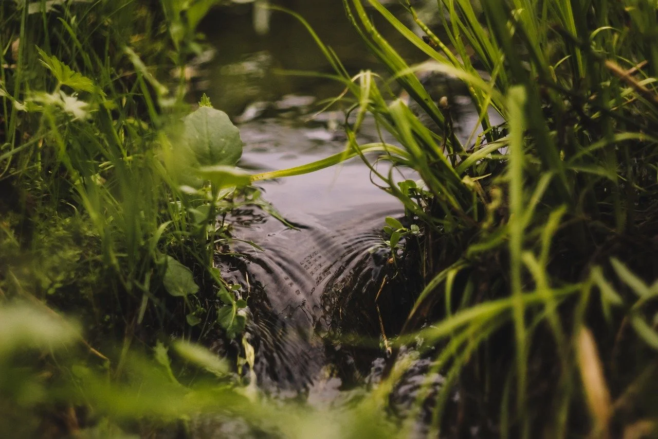 Wet Area Productive Buffer Bundle