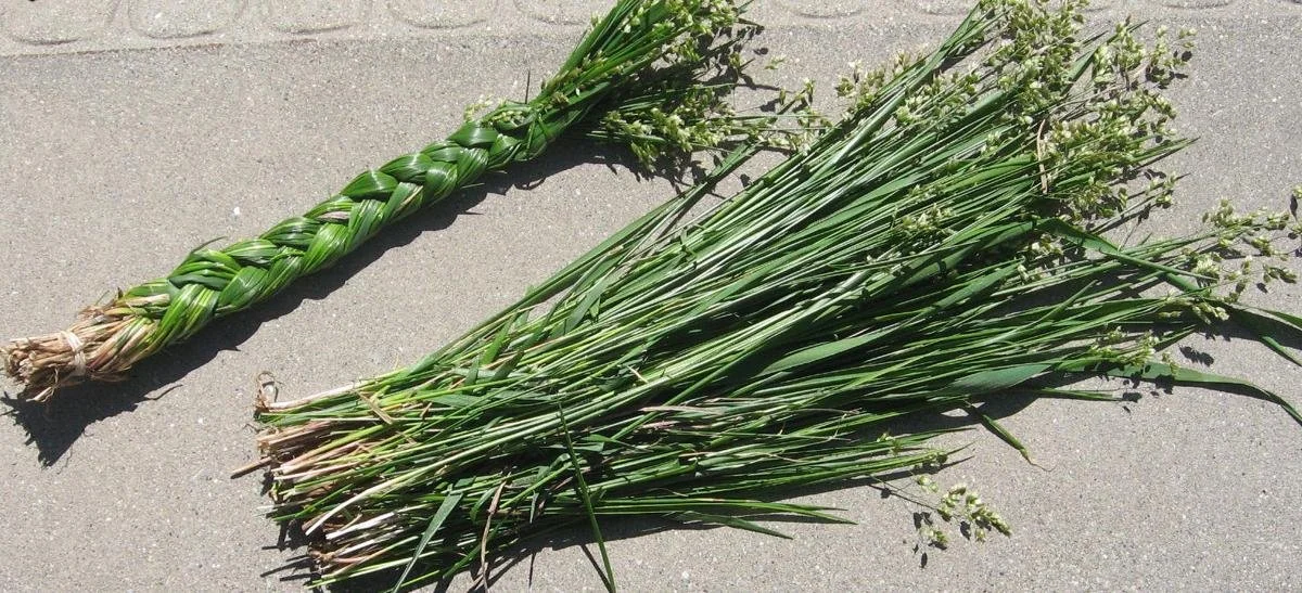 Sweetgrass