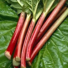 Rhubarb Crowns - MacDonald