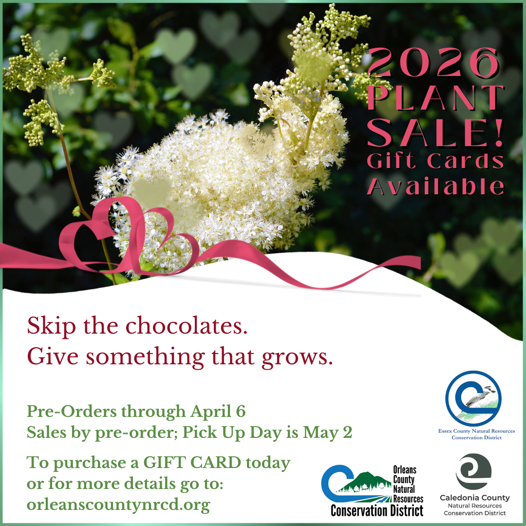 Gift Card - Plant Sale 2026!
