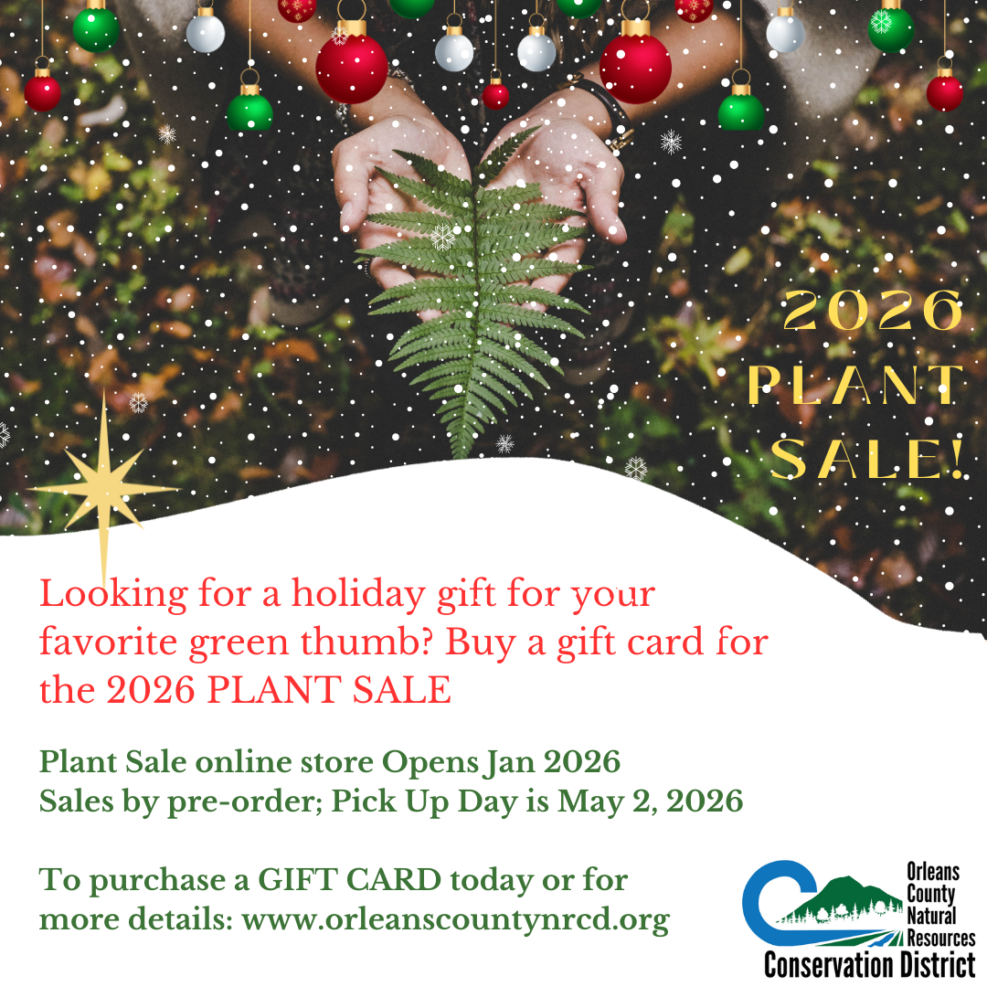 Gift Card - Plant Sale 2026!