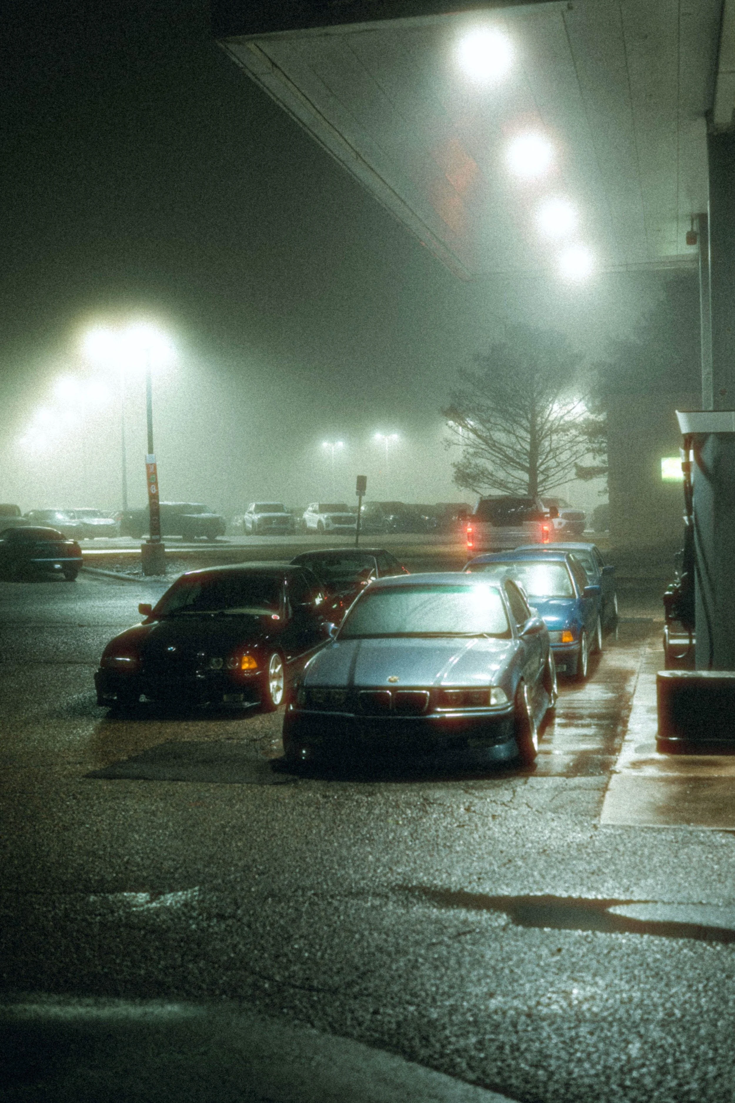 DSC02705-Edit.jpg