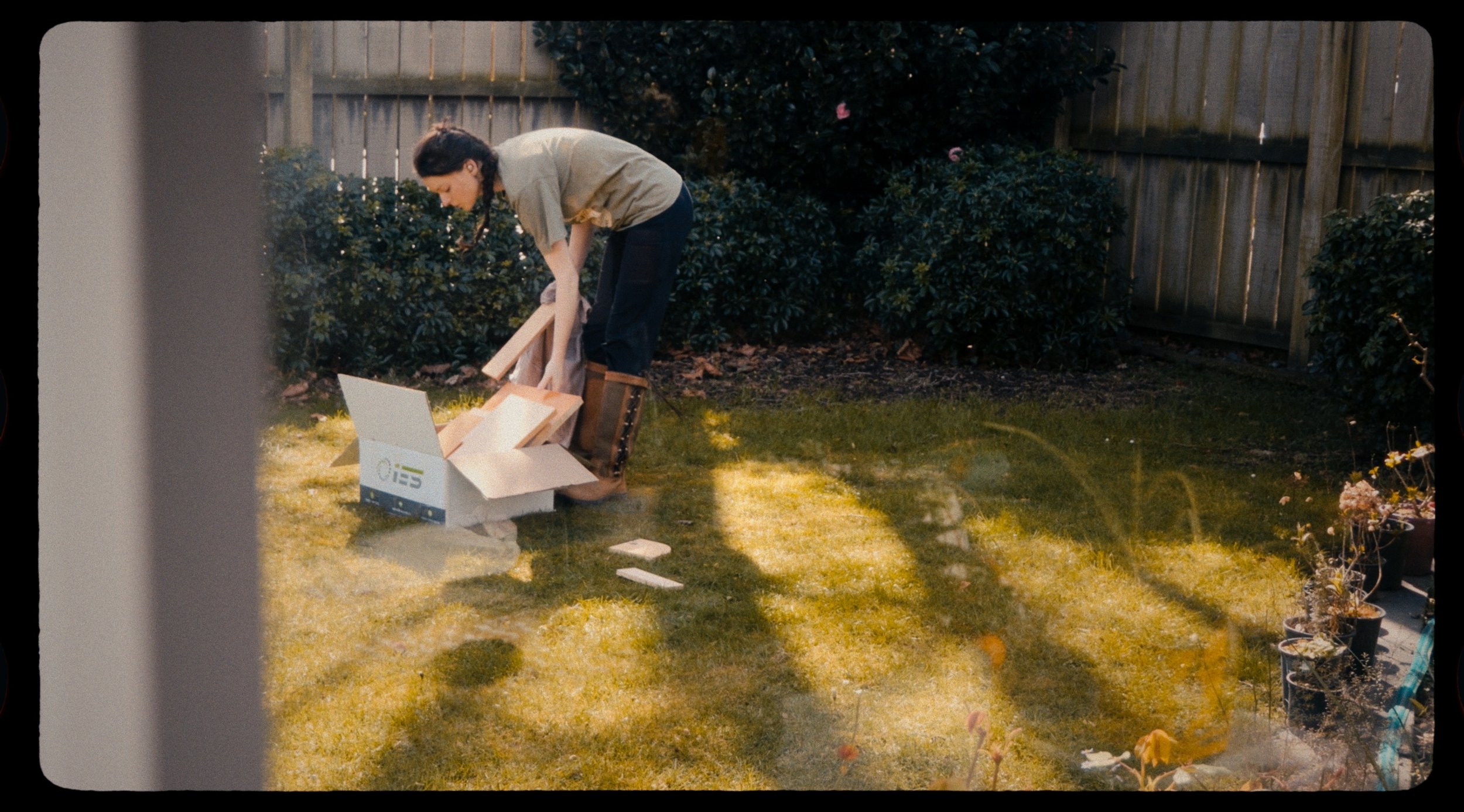 Director’s Series (Fairy Edition): Entry One