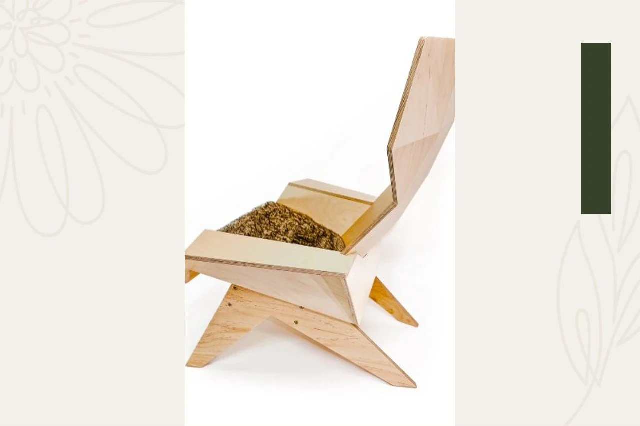 A small wooden chair with a unique geometric design, featuring angled legs and a backrest, with a patch of moss or lichen on its seat.