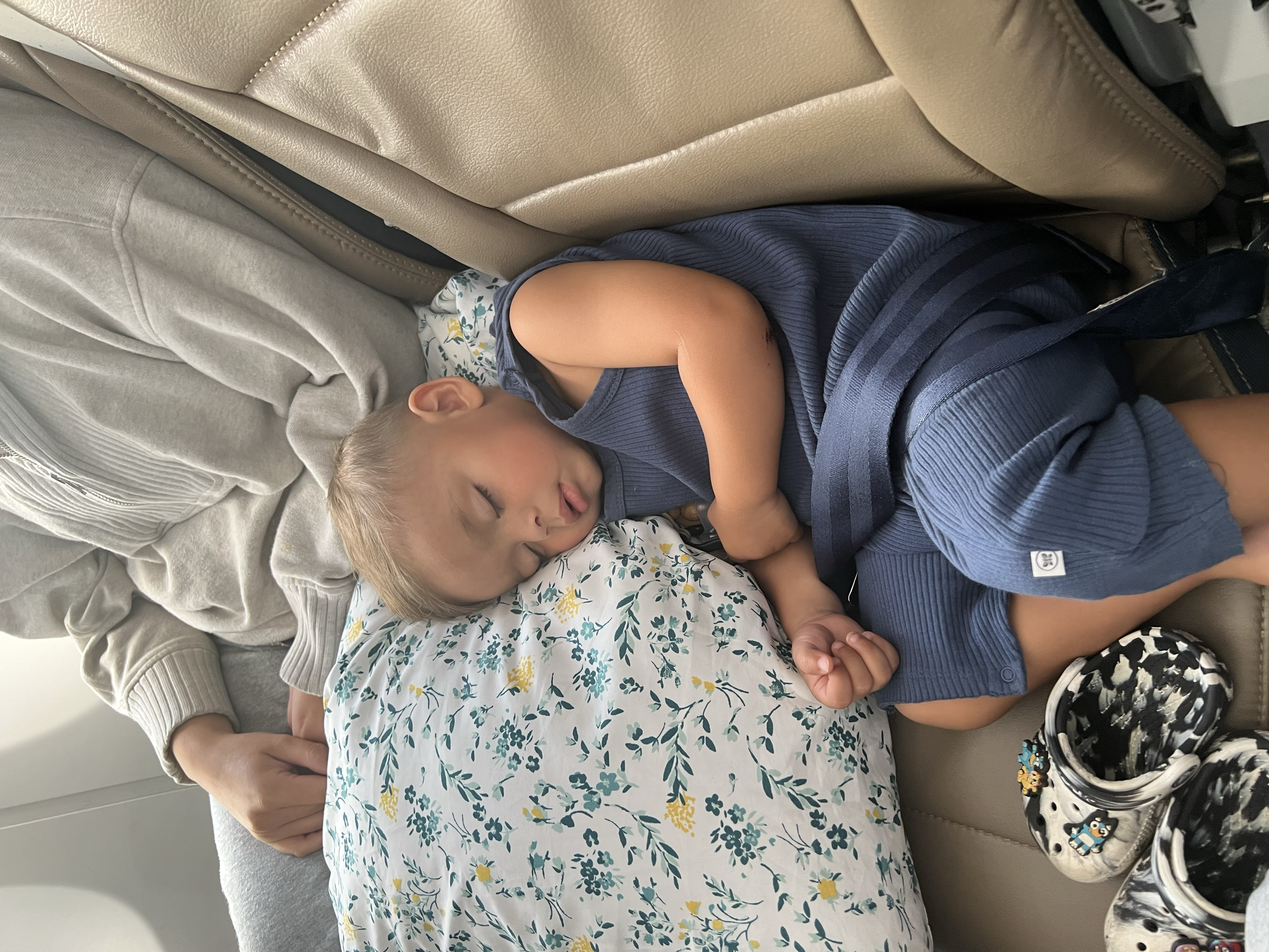 He had a great flight it's safe to say!