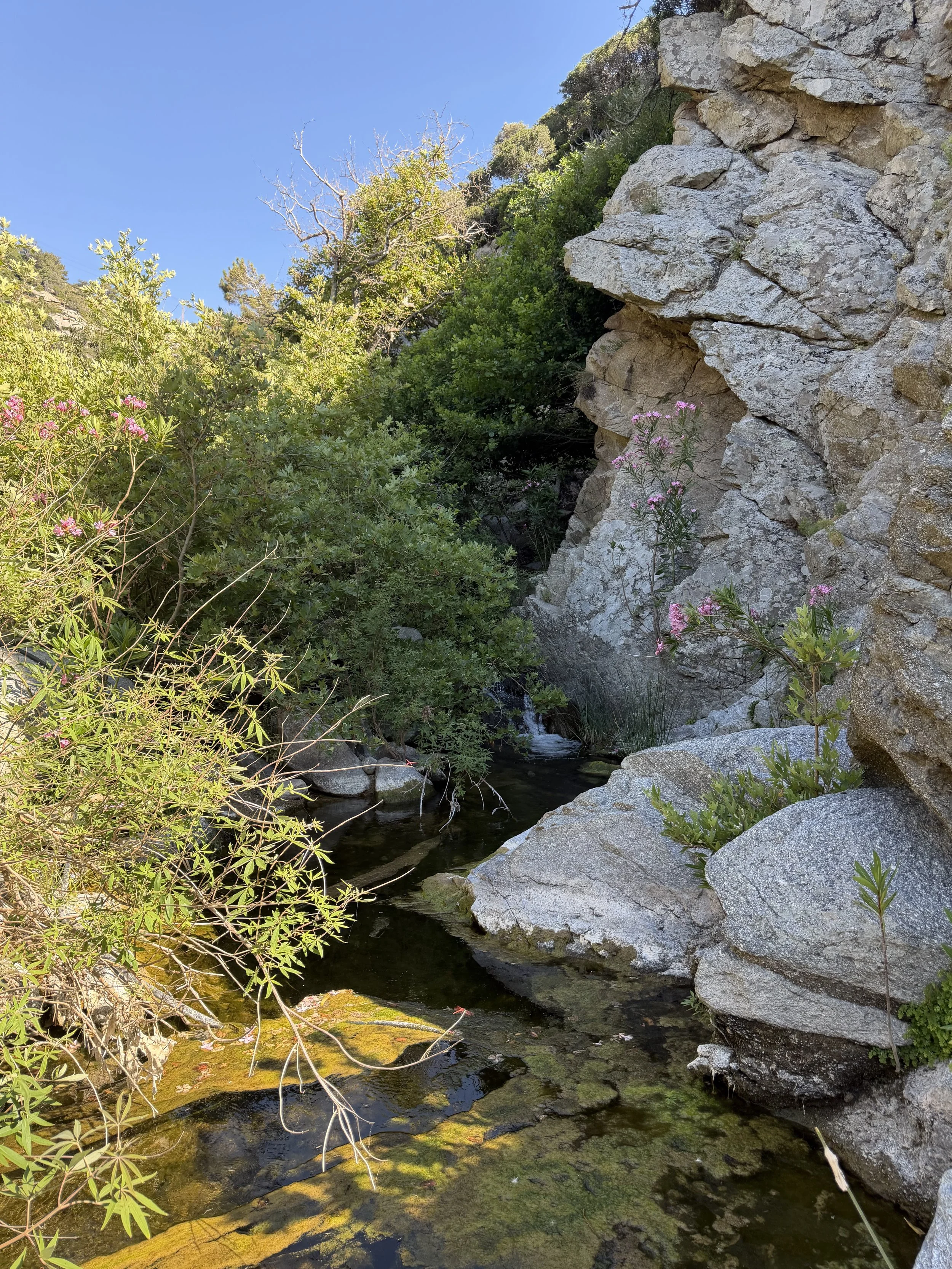 Ikari, mountain hike
