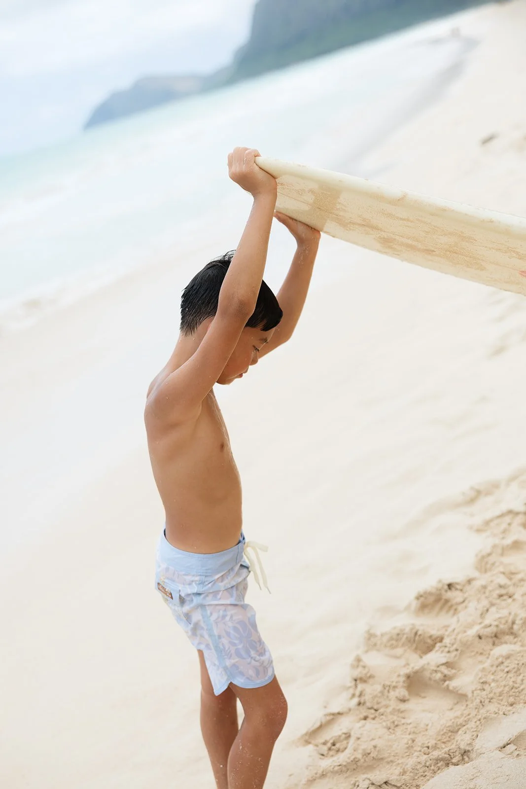 Drift Boardshorts
