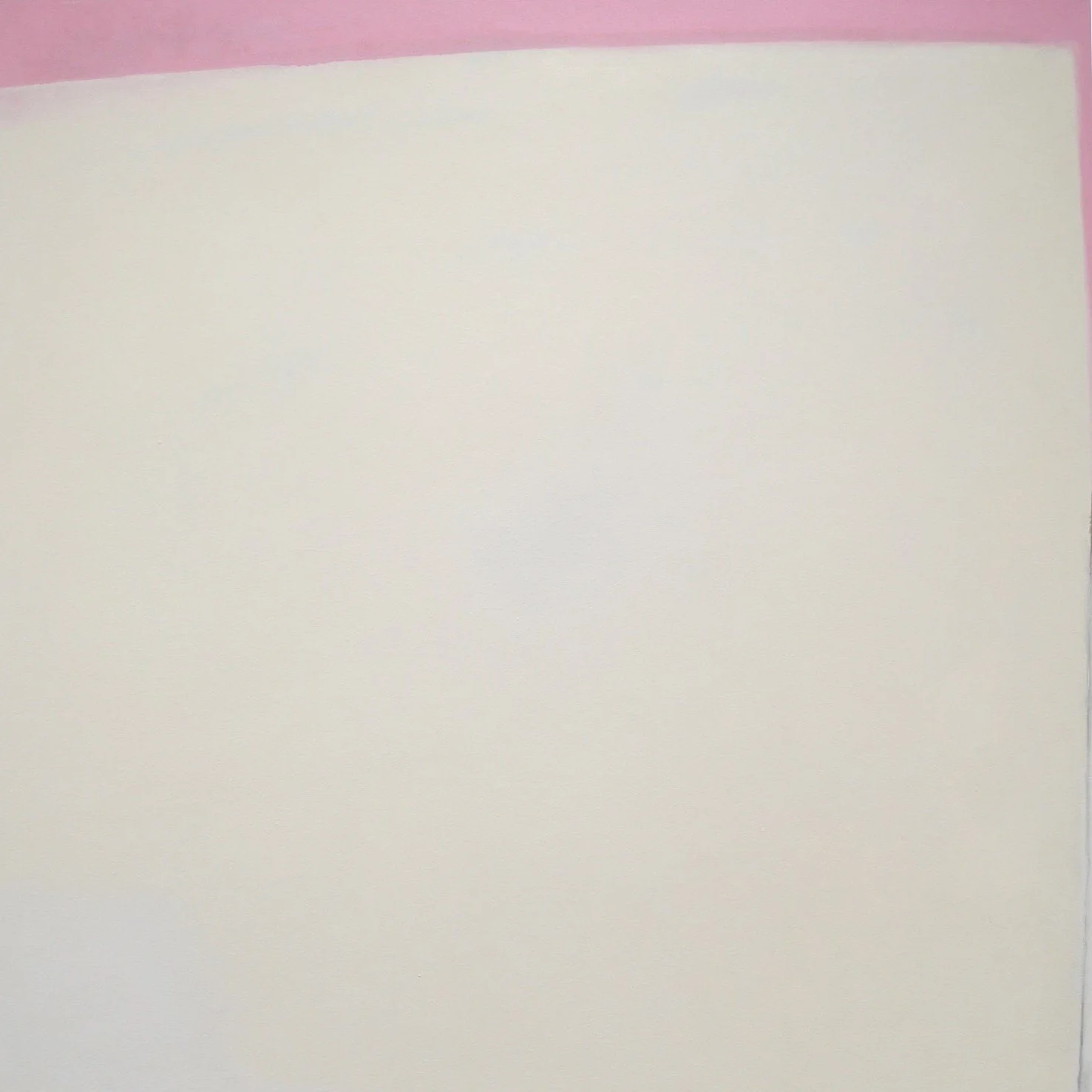 Pink Periphery, oil on canvas, 48x48