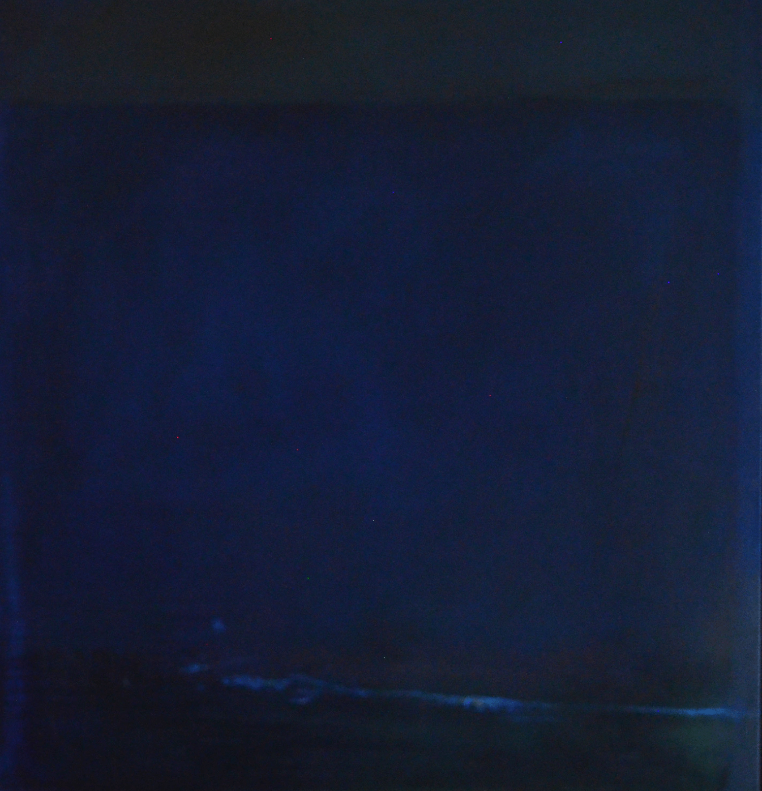 The Quiet Nod of Morning, oil on canvas 48x46