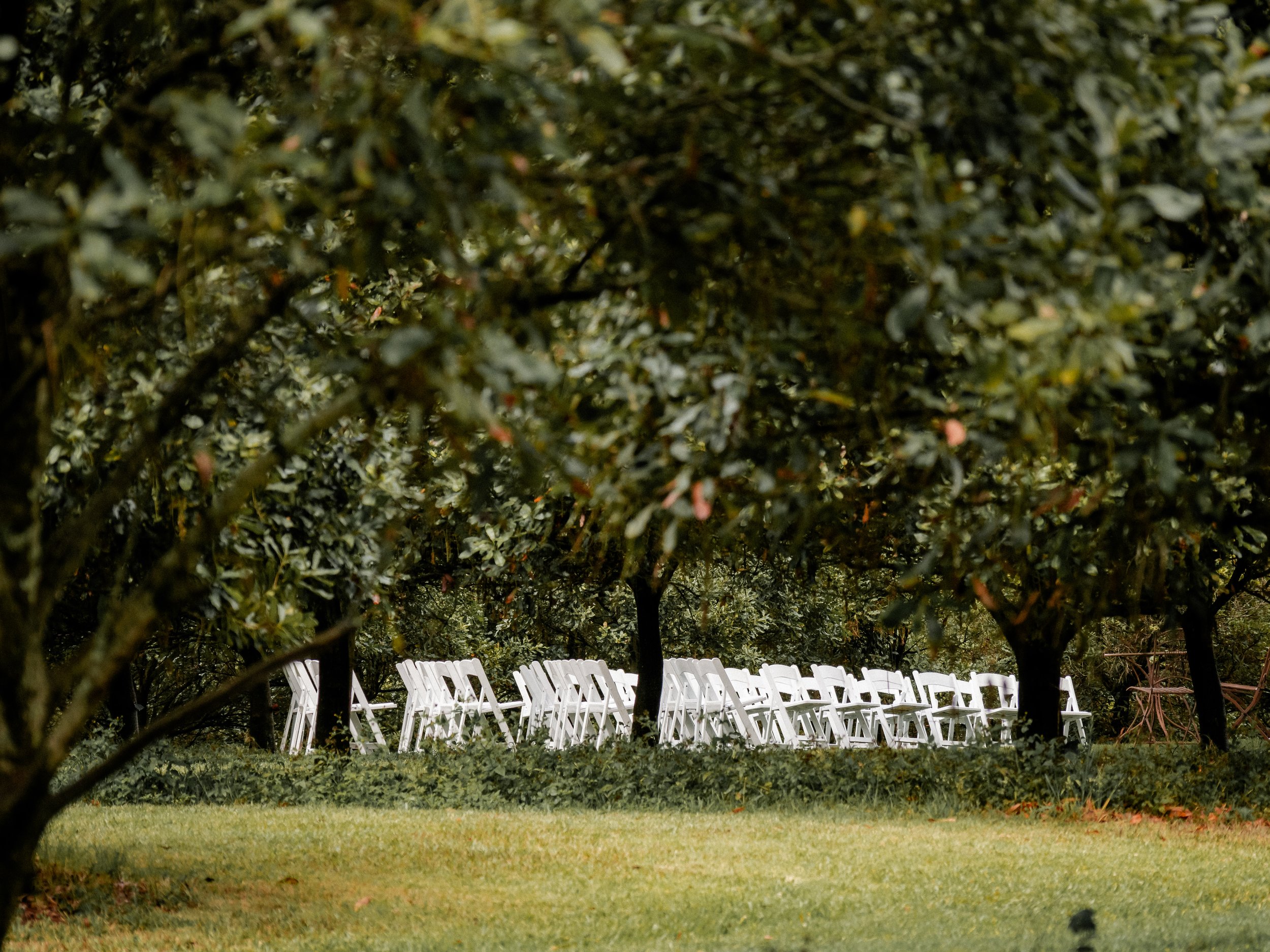 Tides Byron Estate Wedding Byron Bay Sean Reefman Photography Ceremony chairs.jpg
