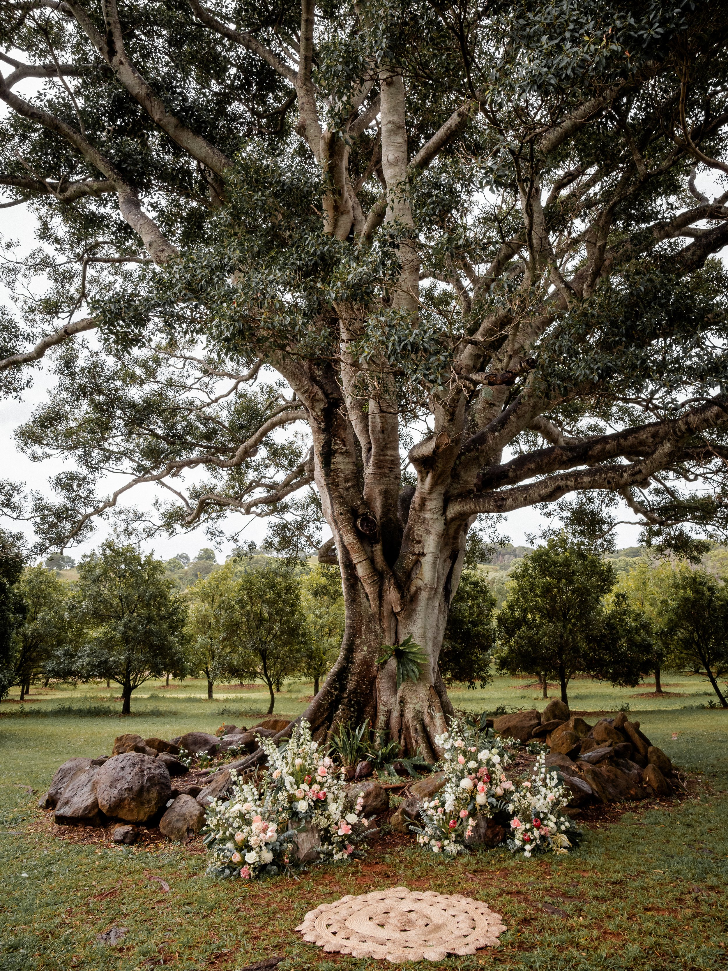 Tides Byron Estate Wedding Byron Bay Sean Reefman Photography tree.jpg