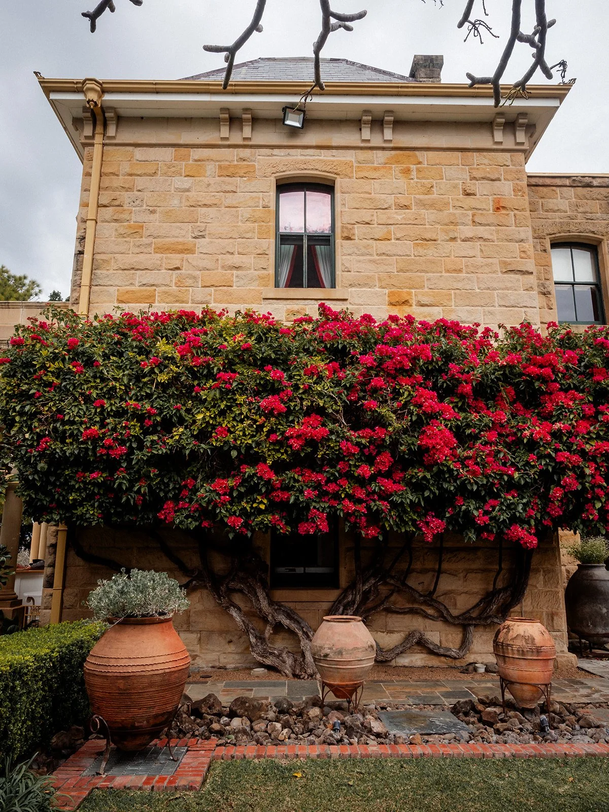 Jimbour House sandstone facade covered in bougainvillea with terracotta urns — Darling Downs wedding venue