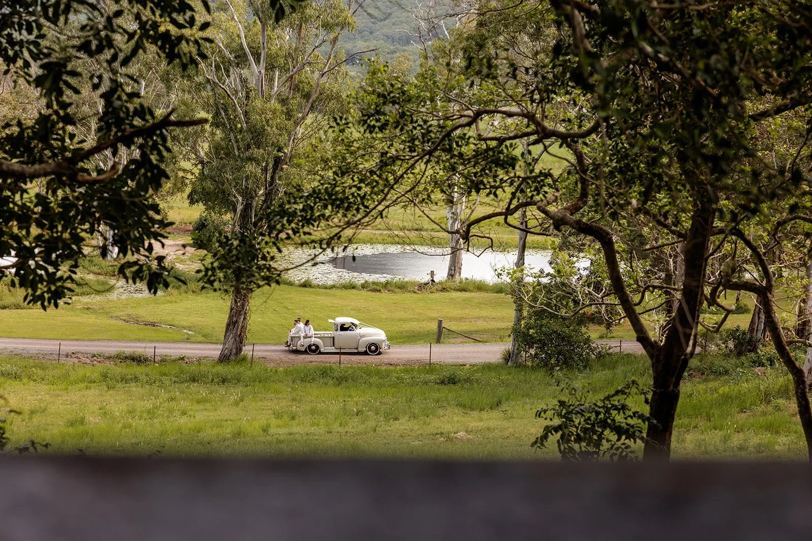 Vintage car parked beneath the trees at Yandina Station — Sean Reefman Photography
