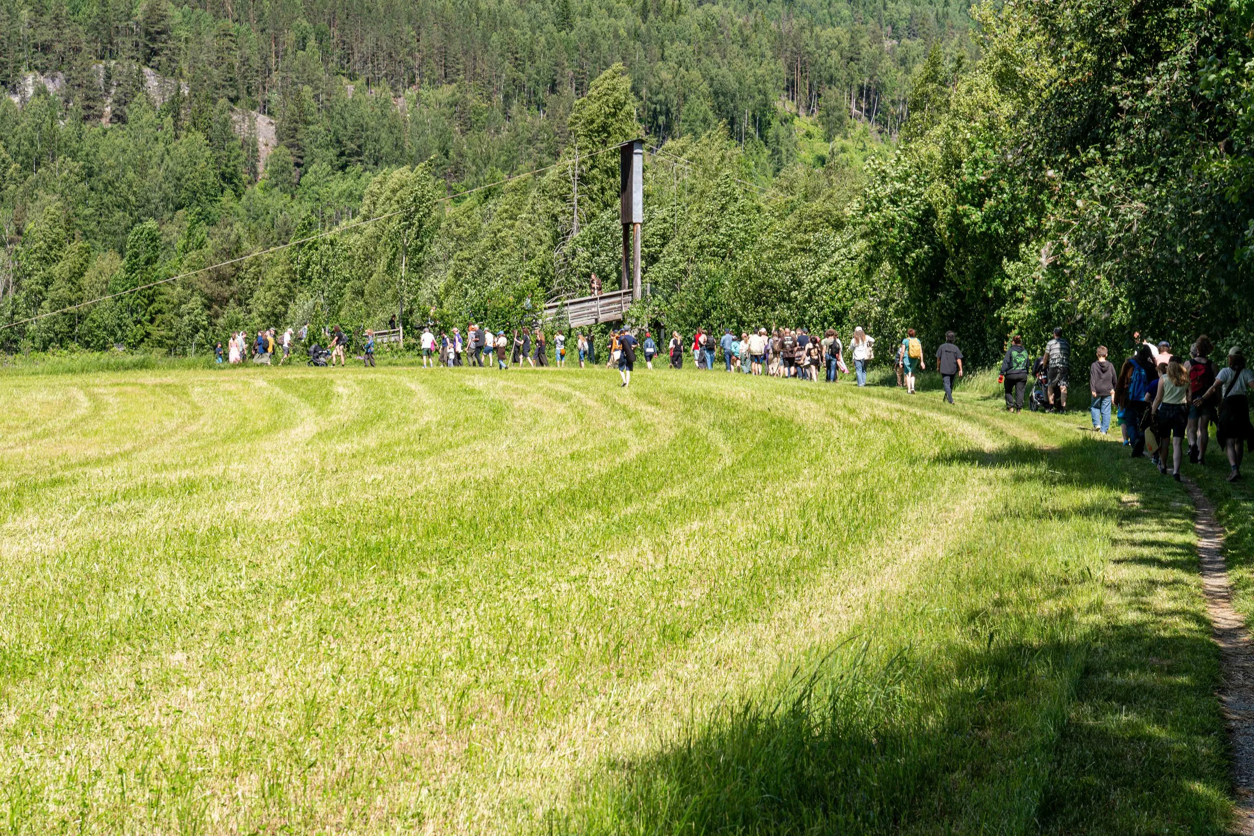 _DSC3706.jpg