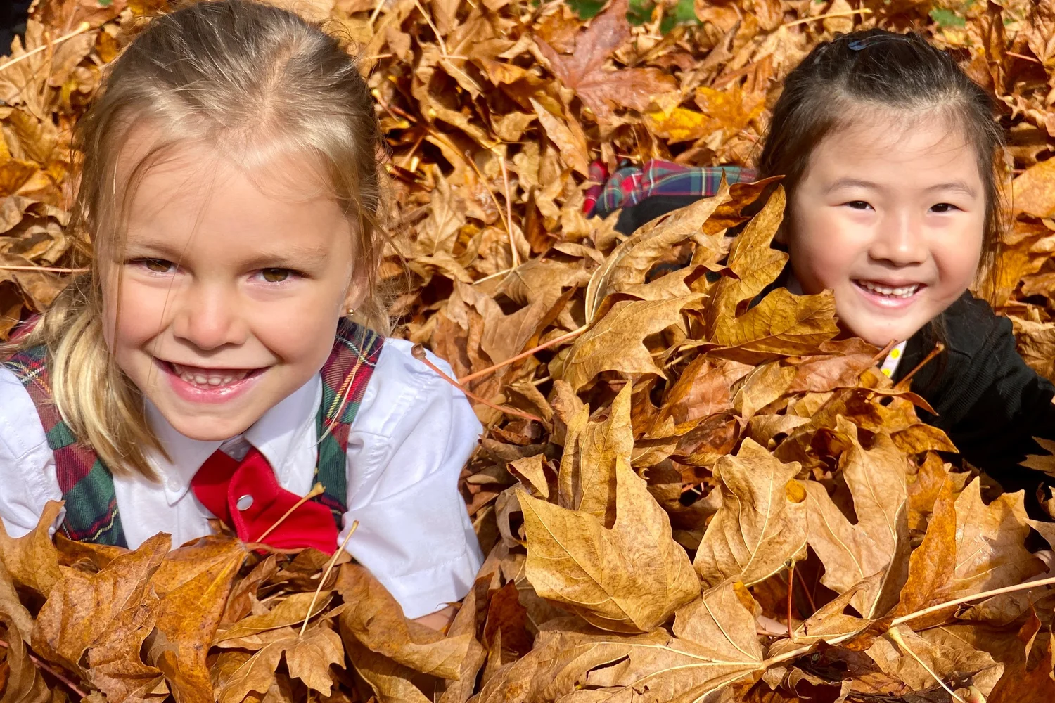 Contact Us The King s School contact-us-the-king-s-school