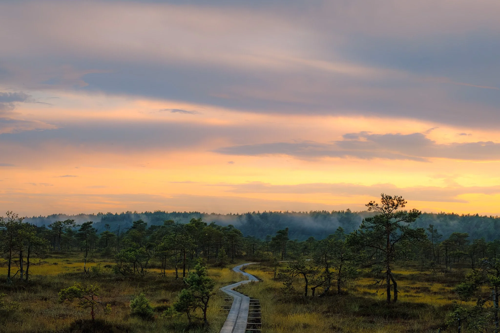 Kakerdaja Bog, Estonia