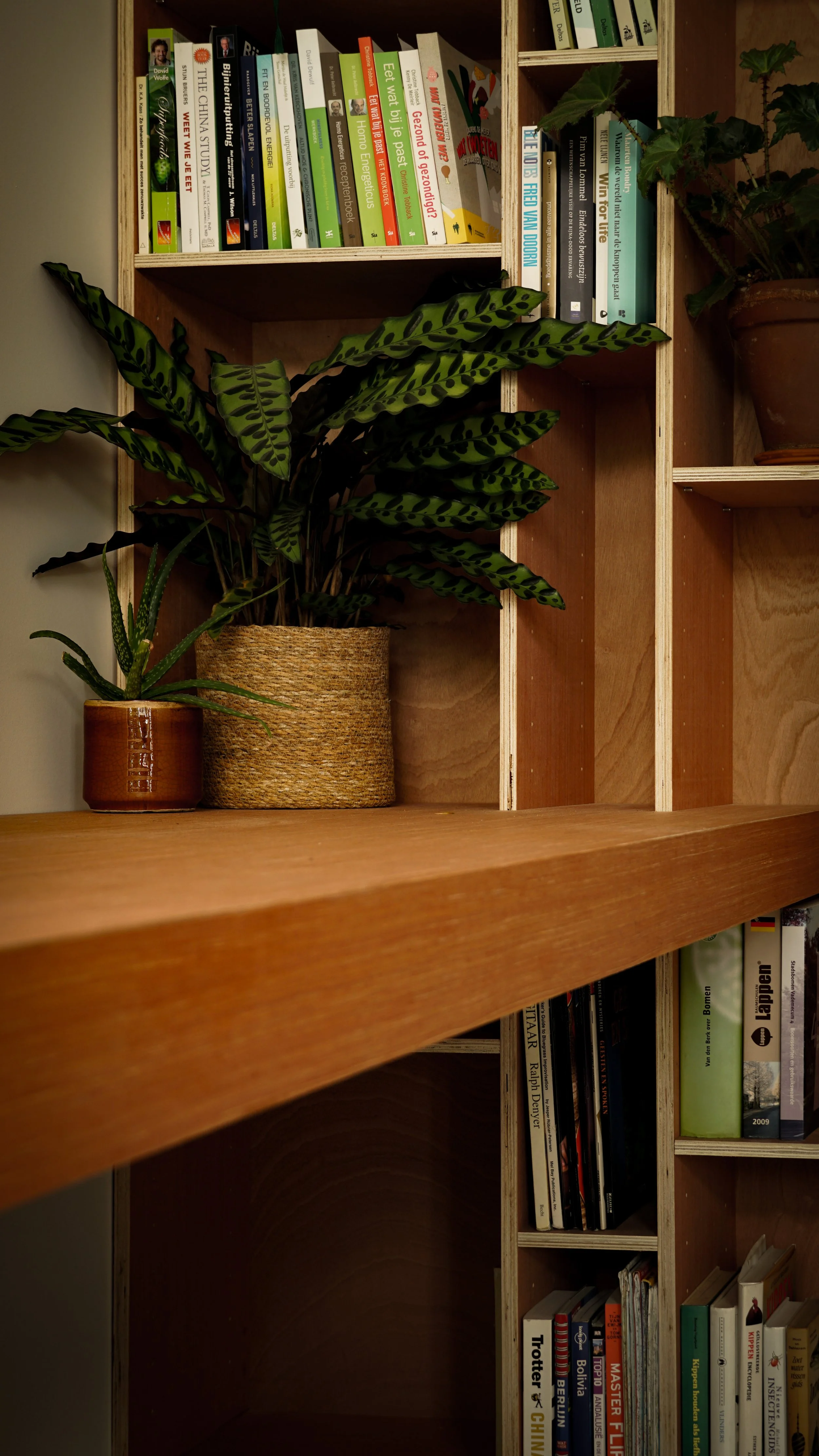 Boekenkast en bureau 