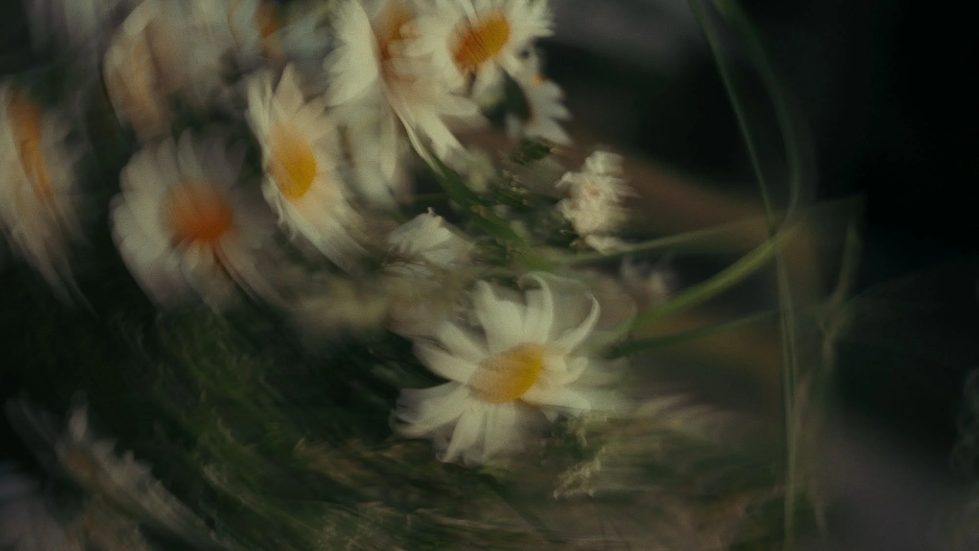 stills_web (30 von 94).jpg