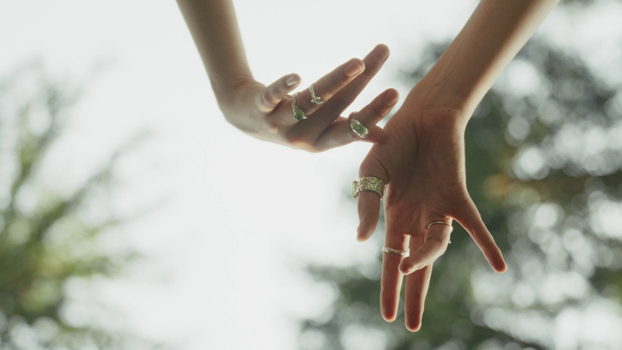 stills_web (6 von 94).jpg